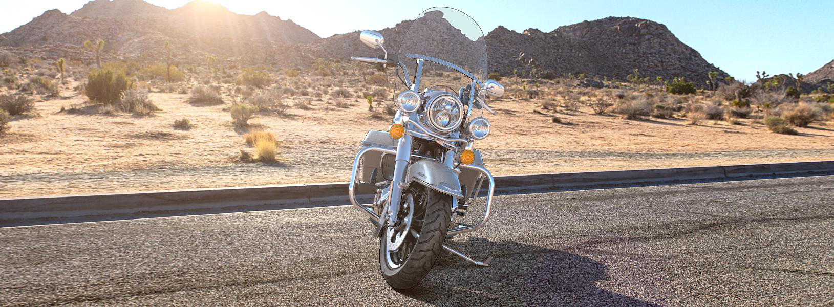 ローキン様 ROAD KING®/ロードキング | ハーレーダビッドソンジャパン