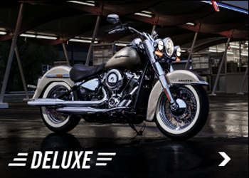 DELUXE