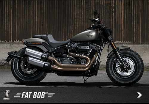 FAT BOB