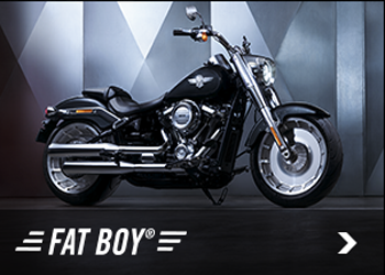 FAT BOY