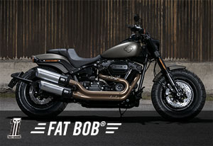 FAT BOB