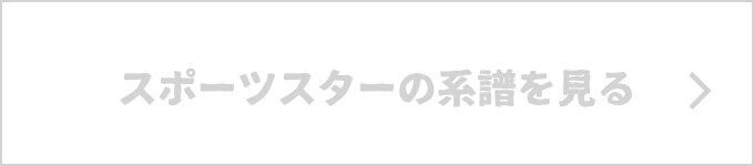 スポーツスターの系譜を見る