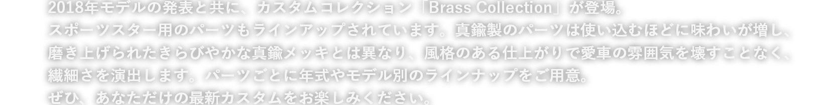 2018年モデルの発表と共に、カスタムコレクション「Brass Collection」が登場。スポーツスター用のパーツもラインアップされています。真鍮製のパーツは使い込むほどに味わいが増し、磨き上げられたきらびやかな真鍮メッキとは異なり、風格のある仕上がりで愛車の雰囲気を壊すことなく、繊細さを演出します。パーツごとに年式やモデル別のラインナップをご用意。ぜひ、あなただけの最新カスタムをお楽しみください。