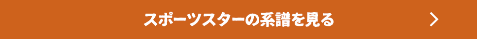 スポーツスターの系譜を見る