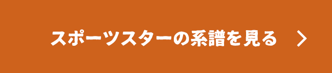 スポーツスターの系譜を見る